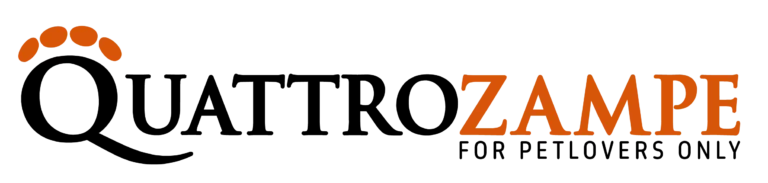 Testata-QZ-claim-SITO